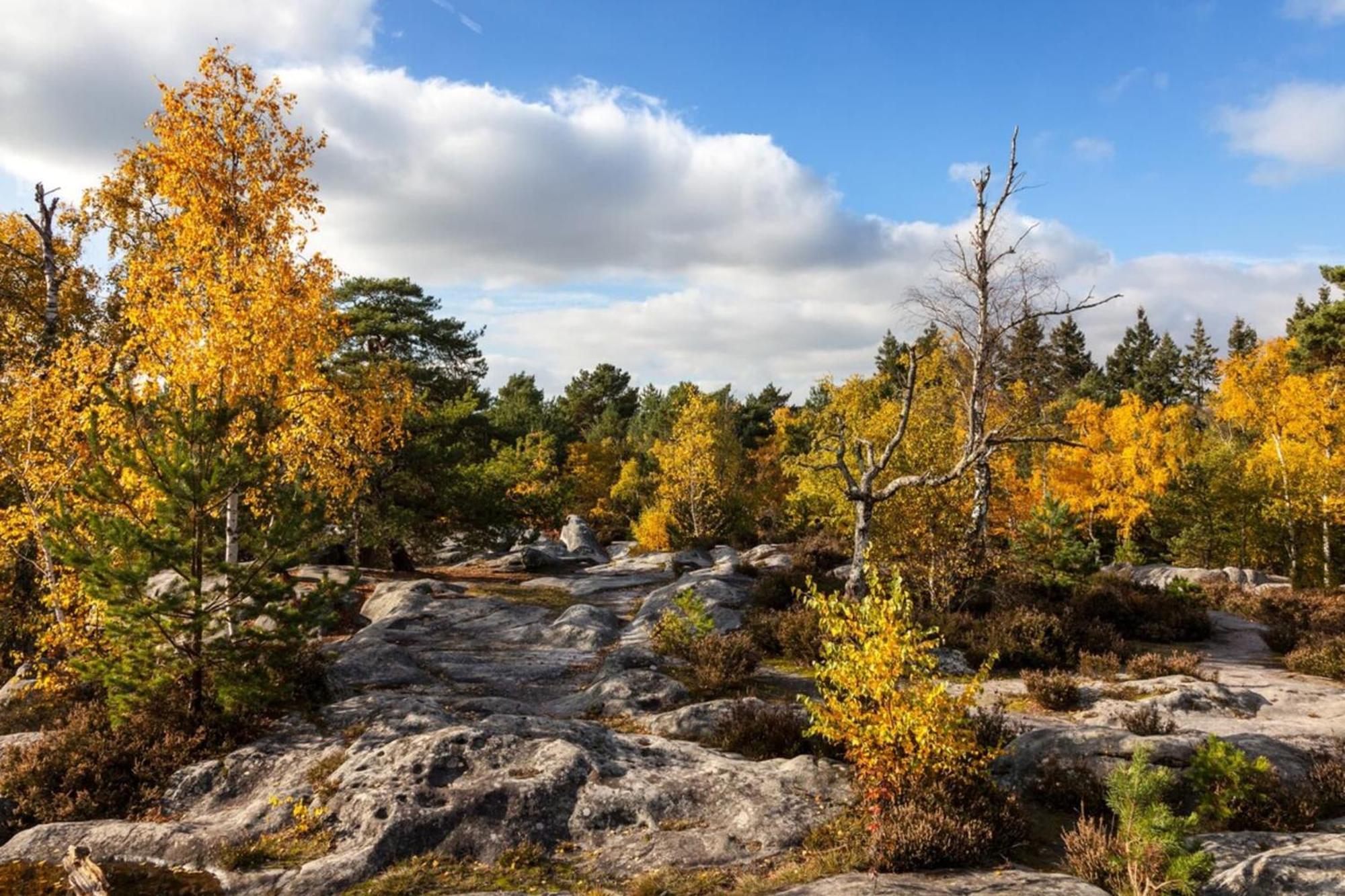 Cosy Fontainebleau Leilighet Eksteriør bilde